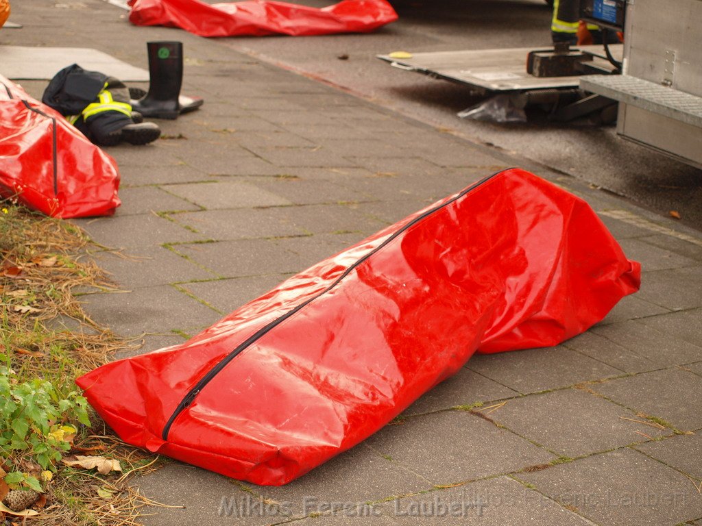 Saureaustritt Koeln Loevenich Daimlerstr P149.JPG